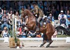 Pferd International 146